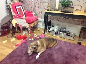 aghhhh, mi chico en accion!