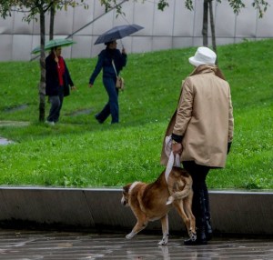 .facebook_-toby y yo 153876447