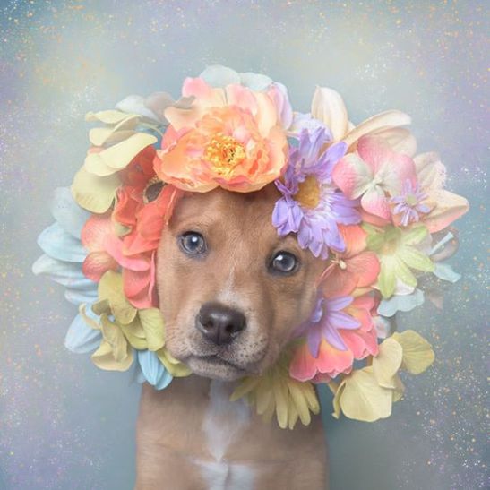 9005d4715a9bcddff5bdf2bd6a32a57e