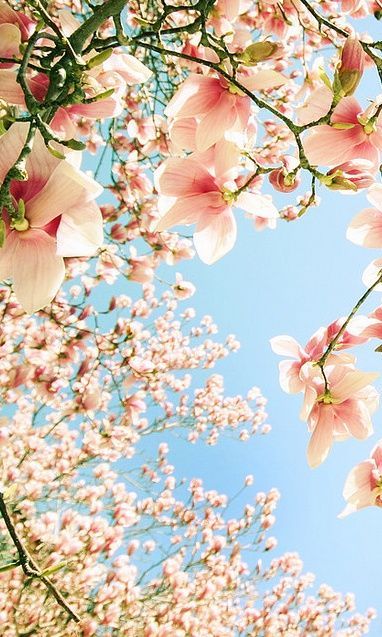 9532bea7368884cbb56e41505887d354